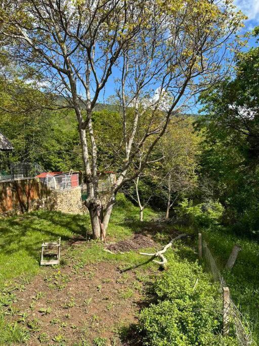 Cosy Mountain Villa In Nizepole Bitola Ngoại thất bức ảnh
