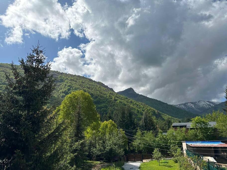Cosy Mountain Villa In Nizepole Bitola Ngoại thất bức ảnh